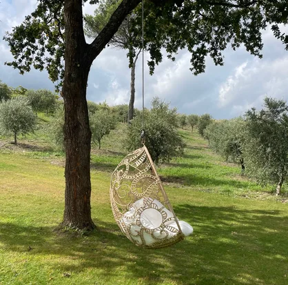 A rattan hanging chair beneath a tree in the olive grove
